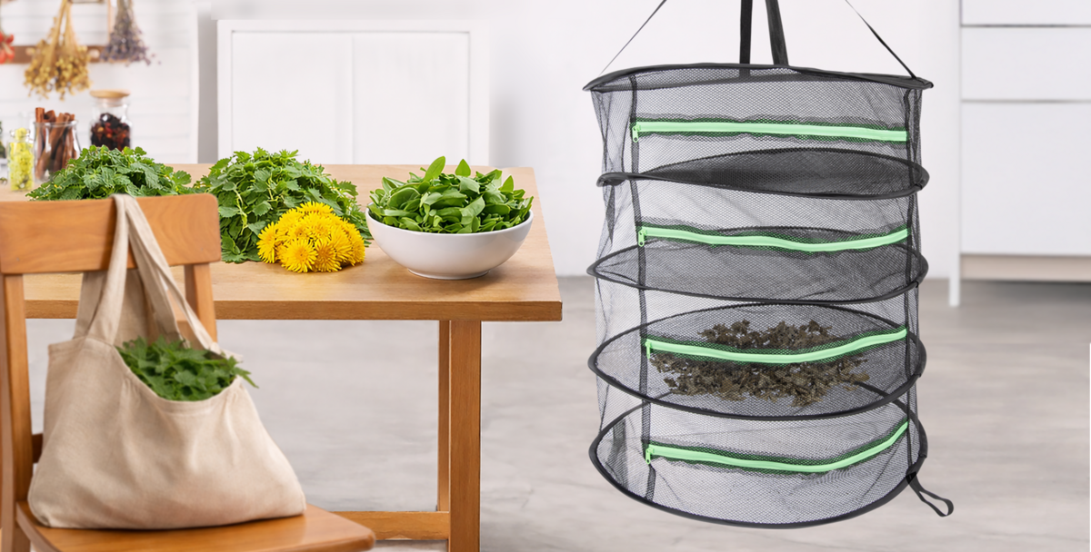 AKO SPRÁVNE SUŠIŤ BYLINKY