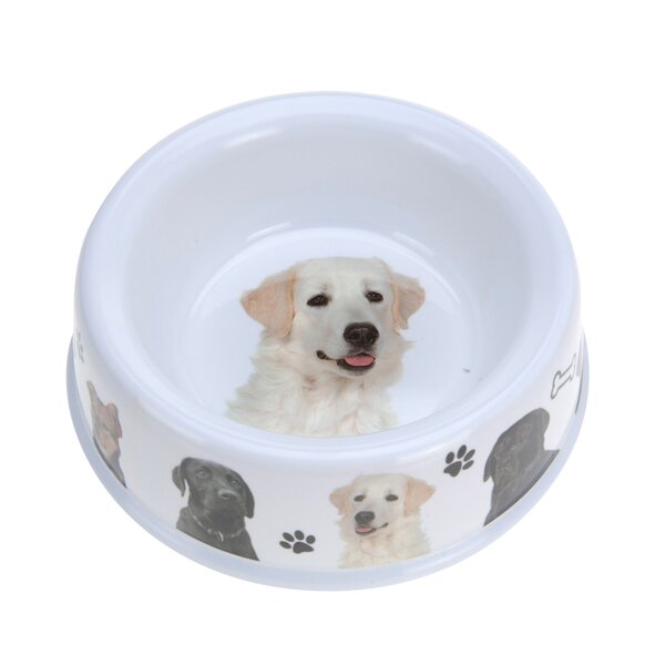 Miska pre psov pr. 25 cm