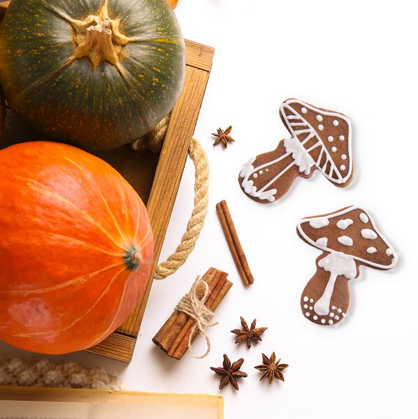 Vykrajovačka muchotrávka