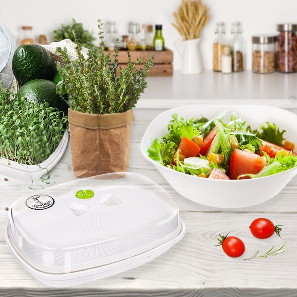 Naklíčovacia misa s vekom 29x21 cm