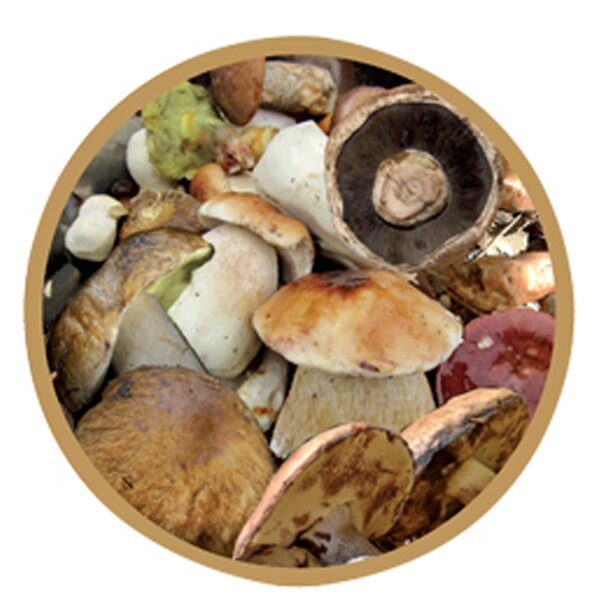 Zaváracie viečko Bio 66 10 ks