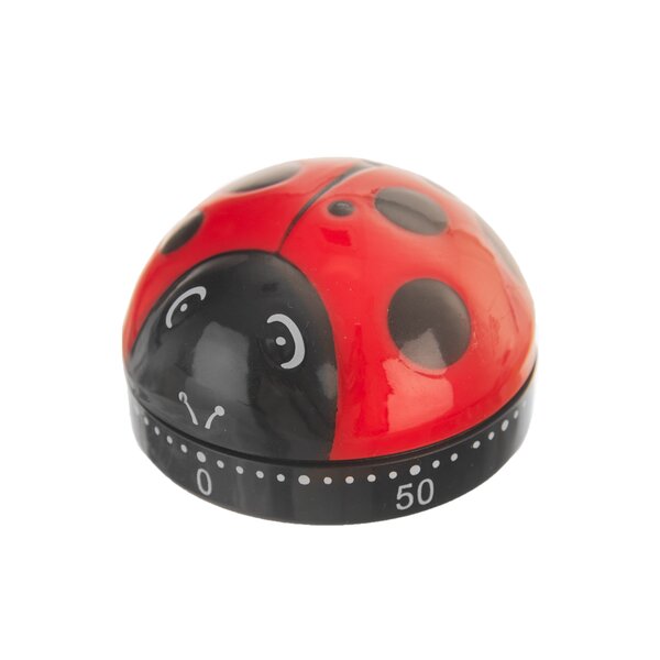 Kuchynská minútka lienka