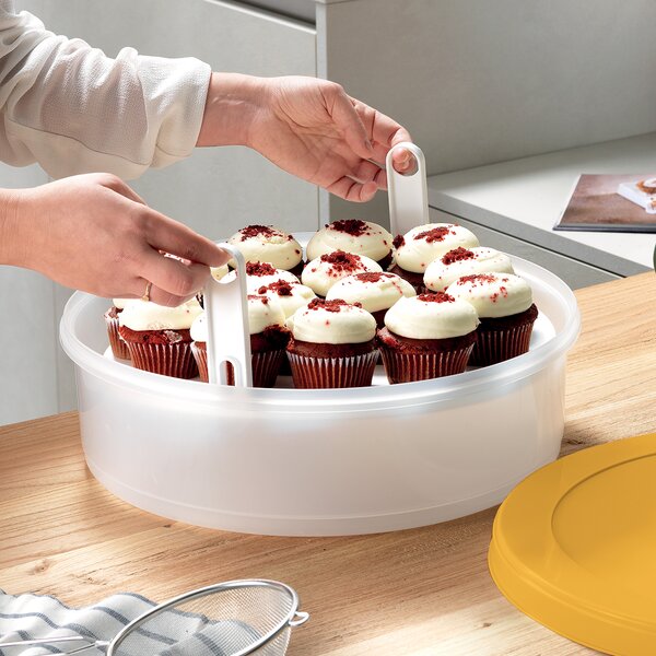 Box s podnosom a vekom 