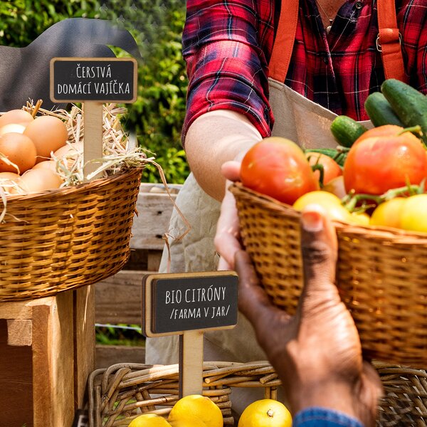 Zápich do kvetináča uni