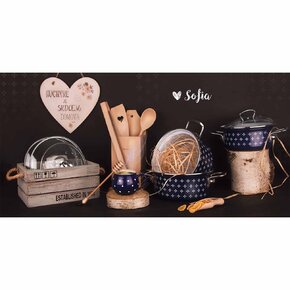 Kastról SOFIA s pokrievkou 2,8 l