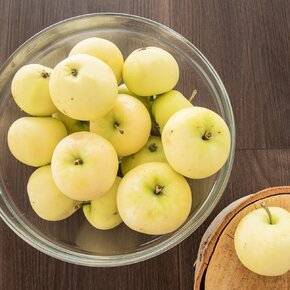 Misa Chefs pr. 23 cm