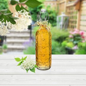 Fľaša s klip uzáverom Ela 0,75 l