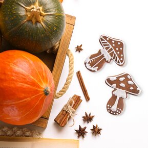 Vykrajovačka muchotrávka