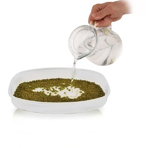 Naklíčovacia misa s vekom 29x21 cm