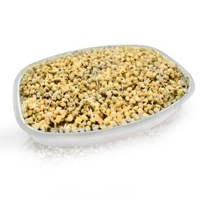 Naklíčovacia misa s vekom 29x21 cm