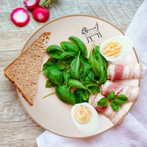 Dezertný tanier STATOK pes pr. 19,5 cm