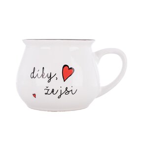 Hrnček Díky, že jsi 0,3 l