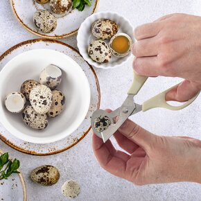 Nožnice na prepeličie vajíčka