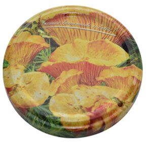 Zaváracie viečko Bio 66 10 ks