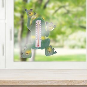 Teplomer vonkajší žaba