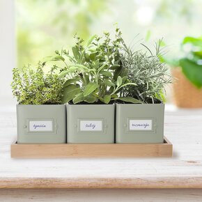 Kvetináč bylinky GREENISH 11,5x11,5 cm 3 ks+podtácok