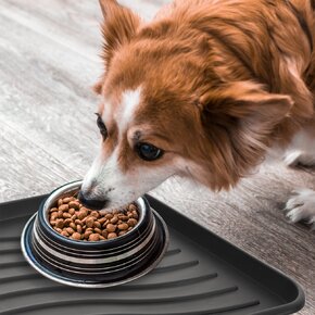 Vonkajšia rohož-odkvapkávač 78x38 cm