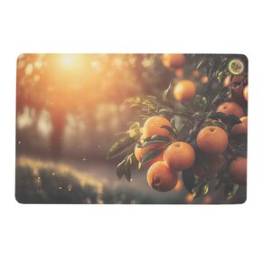 Prestieranie 43,5x28,5 cm ovocie