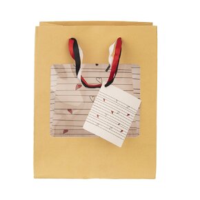 Darčeková taška SRDIEČKA 18x10x23 cm