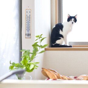 Teplomer univerzálny