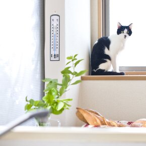 Teplomer univerzálny